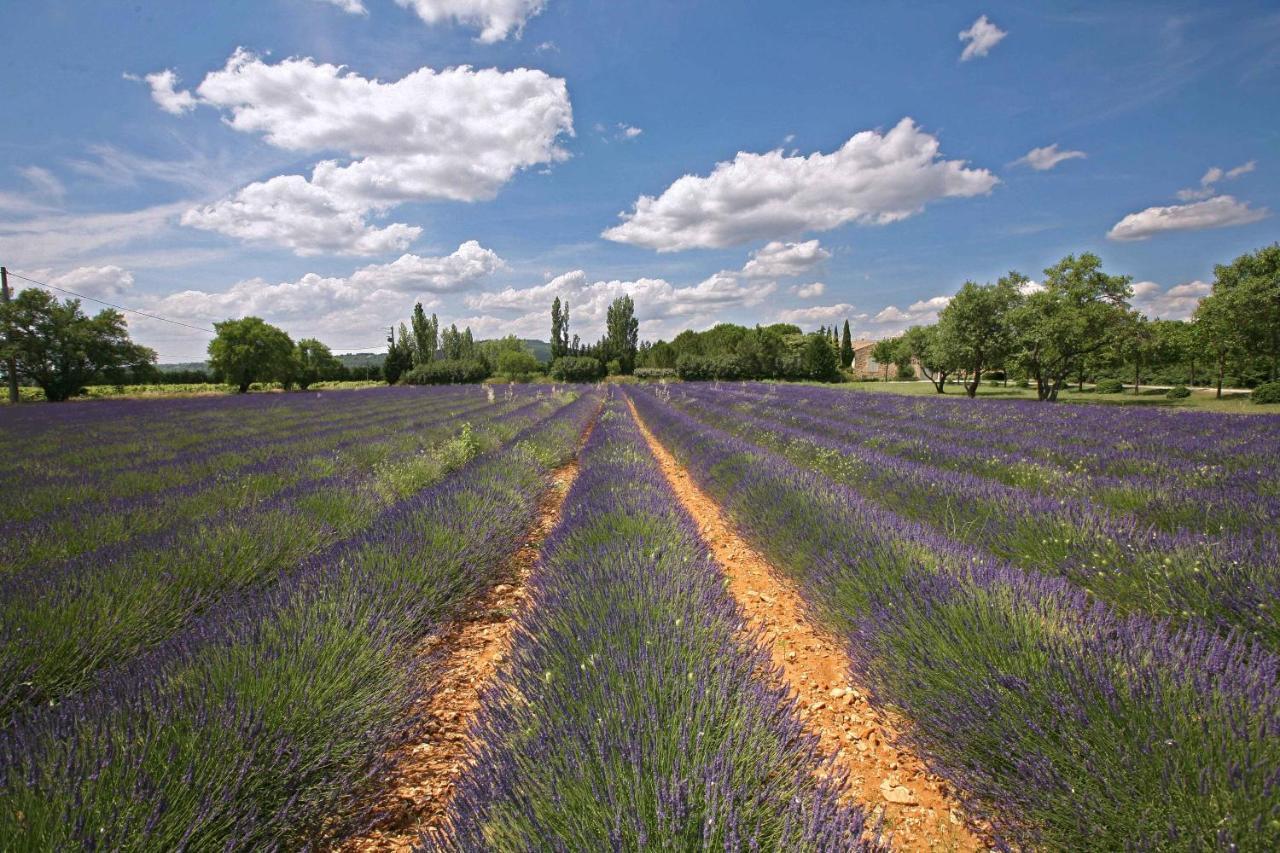 B&B Dans Mas En Pierres Robion en Luberon Exteriér fotografie